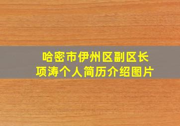 哈密市伊州区副区长项涛个人简历介绍图片