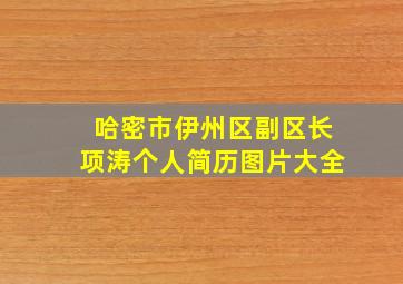 哈密市伊州区副区长项涛个人简历图片大全