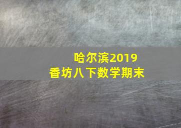 哈尔滨2019香坊八下数学期末