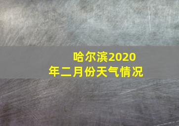 哈尔滨2020年二月份天气情况