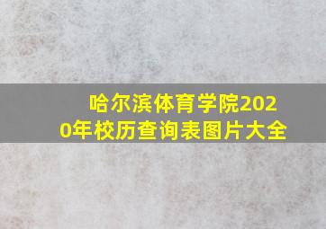 哈尔滨体育学院2020年校历查询表图片大全