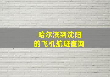 哈尔滨到沈阳的飞机航班查询