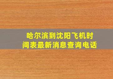 哈尔滨到沈阳飞机时间表最新消息查询电话