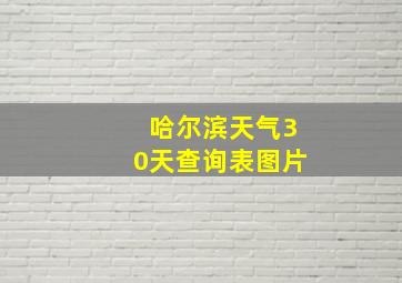 哈尔滨天气30天查询表图片