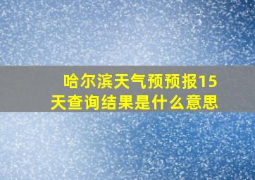 哈尔滨天气预预报15天查询结果是什么意思