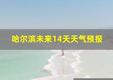 哈尔滨未来14天天气预报