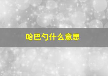 哈巴勺什么意思