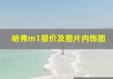 哈弗m1报价及图片内饰图