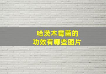 哈茨木霉菌的功效有哪些图片