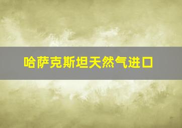 哈萨克斯坦天然气进口