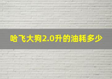 哈飞大狗2.0升的油耗多少