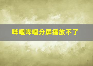 哔哩哔哩分屏播放不了