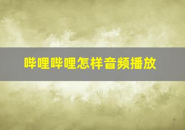 哔哩哔哩怎样音频播放