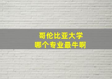 哥伦比亚大学哪个专业最牛啊