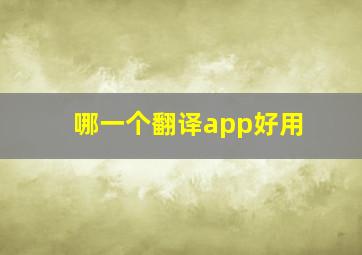 哪一个翻译app好用