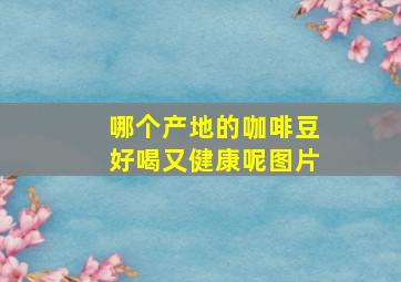 哪个产地的咖啡豆好喝又健康呢图片