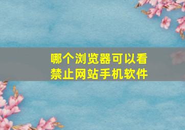 哪个浏览器可以看禁止网站手机软件