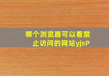 哪个浏览器可以看禁止访问的网站yjsP