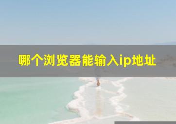 哪个浏览器能输入ip地址