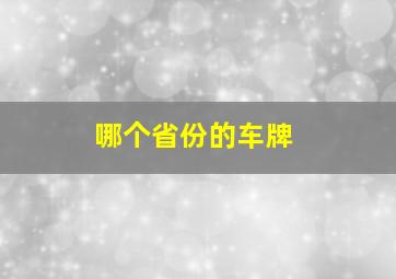 哪个省份的车牌