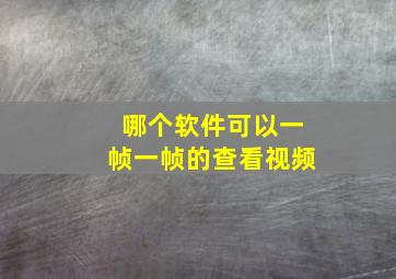 哪个软件可以一帧一帧的查看视频