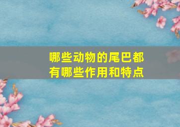 哪些动物的尾巴都有哪些作用和特点