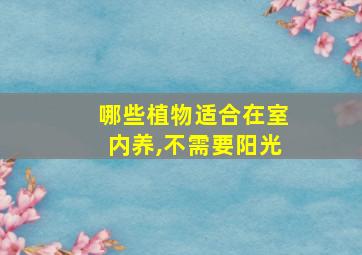 哪些植物适合在室内养,不需要阳光