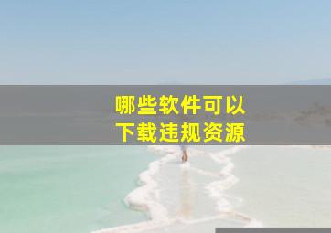 哪些软件可以下载违规资源