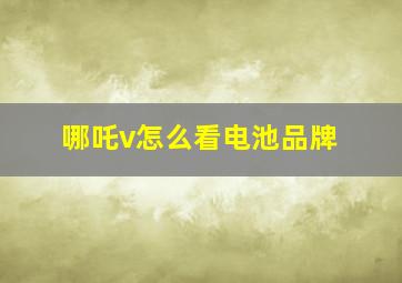 哪吒v怎么看电池品牌