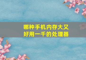 哪种手机内存大又好用一千的处理器