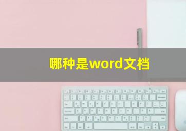 哪种是word文档