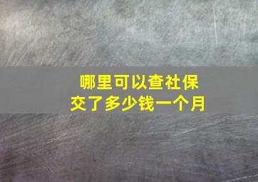 哪里可以查社保交了多少钱一个月