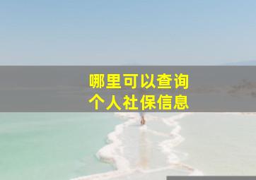 哪里可以查询个人社保信息