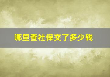 哪里查社保交了多少钱