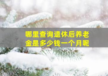 哪里查询退休后养老金是多少钱一个月呢