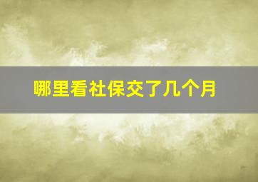 哪里看社保交了几个月