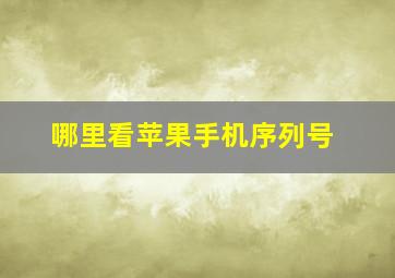 哪里看苹果手机序列号