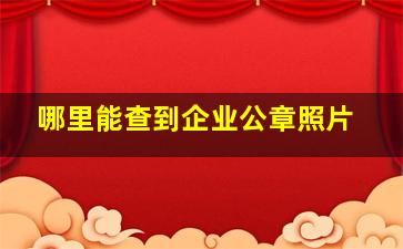 哪里能查到企业公章照片