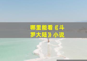 哪里能看《斗罗大陆》小说