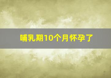 哺乳期10个月怀孕了