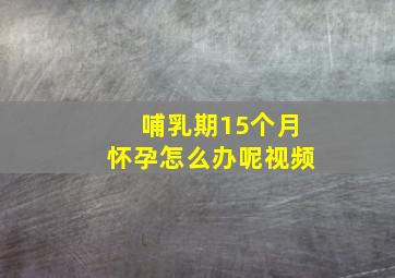 哺乳期15个月怀孕怎么办呢视频