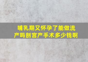 哺乳期又怀孕了能做流产吗剖宫产手术多少钱啊