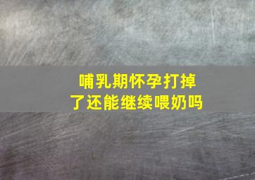 哺乳期怀孕打掉了还能继续喂奶吗