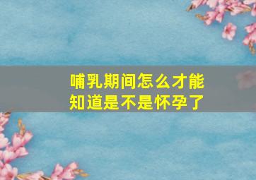 哺乳期间怎么才能知道是不是怀孕了