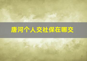 唐河个人交社保在哪交