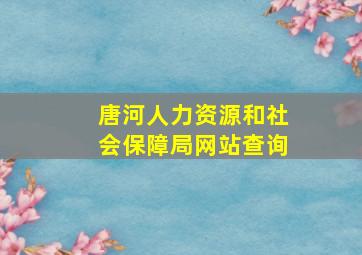 唐河人力资源和社会保障局网站查询