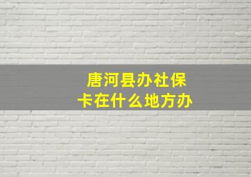 唐河县办社保卡在什么地方办