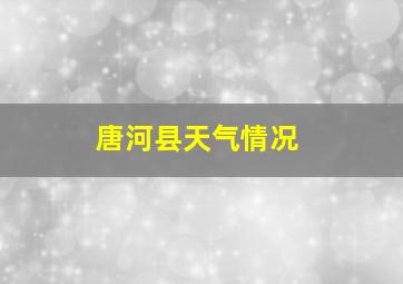 唐河县天气情况