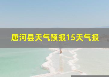 唐河县天气预报15天气报