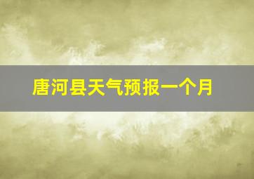 唐河县天气预报一个月